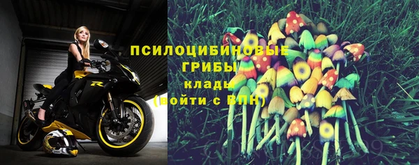 PSILOCYBIN Армянск