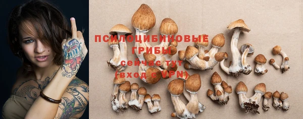 ПСИЛОЦИБИНОВЫЕ ГРИБЫ Алексеевка